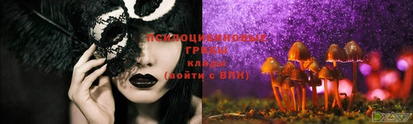 крисы Горняк