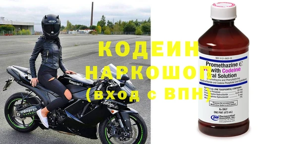 крисы Горняк