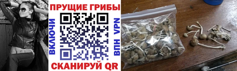 Псилоцибиновые грибы GOLDEN TEACHER  ОМГ ОМГ tor  Железногорск-Илимский 